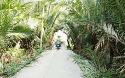 Vespa Adventure Tours
베스파와 함께 즐기는 색다른 하루! - 3