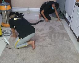 BeeClean- Nâng cao không gian sống của bạn, tỏa sáng mọi ngóc ngách - 3